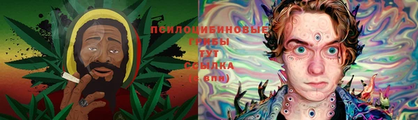 прущие грибы Алзамай