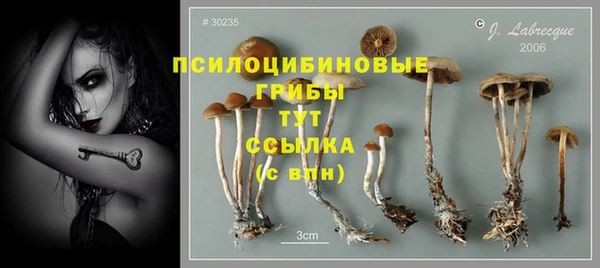 мескалин Алексеевка