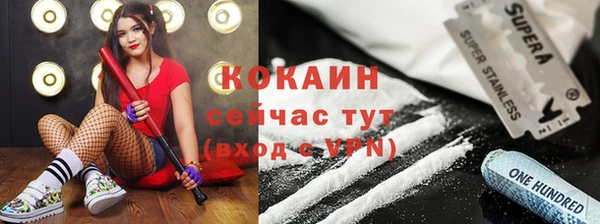 бошки Ладушкин