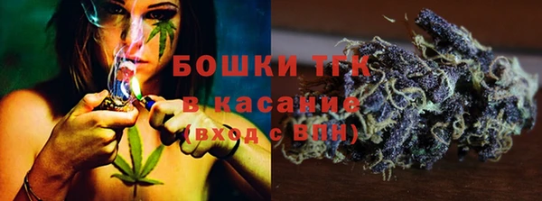 прущие грибы Алзамай