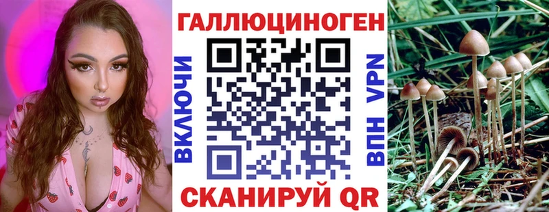 Псилоцибиновые грибы Psilocybe  blacksprut tor  Киреевск 
