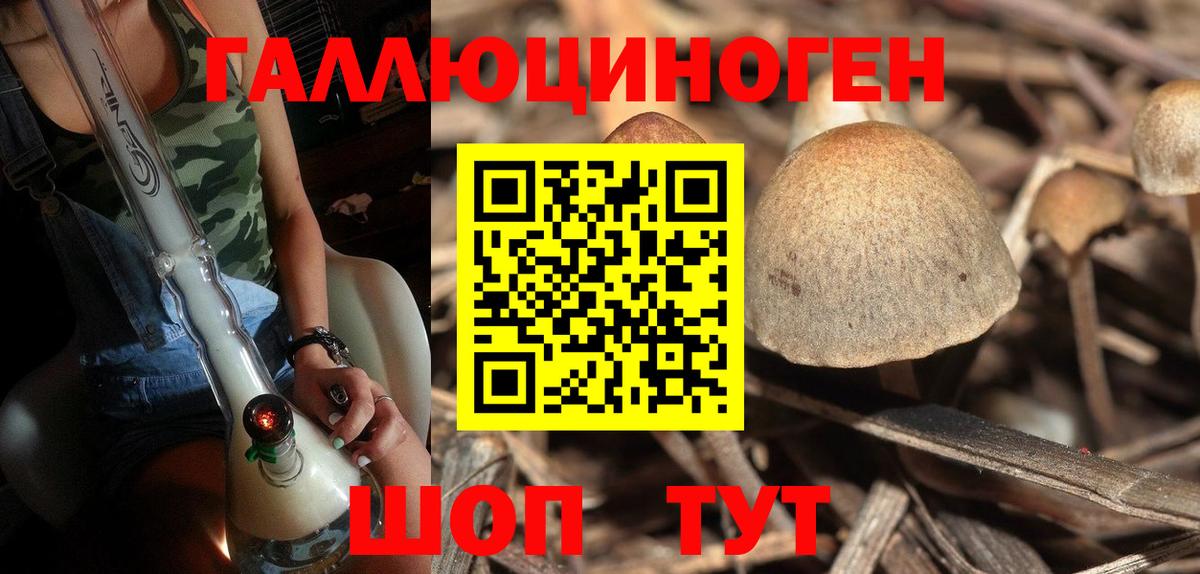 закладки  Псилоцибиновые грибы прущие грибы  Вход с VPN  Киреевск 